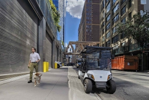 ニューヨーク市：クリスマスと名所を巡るガイド付き市内ツアー（快適なカートで）