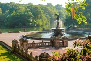 NYC: officiële wandeltour door Central Park