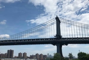 NYC: One World Observatory & 3 timers omvisning til fots på Manhattan