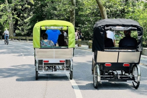 NYC: Pedicab-ture i Central Park fra Natural History Museum