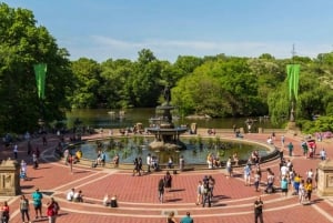 NUEVA YORK: Visita personal a Central Park