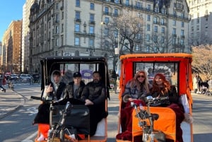 NYC: Tour personale di Central Park