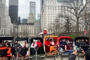 NYC: Personlig omvisning i Central Park