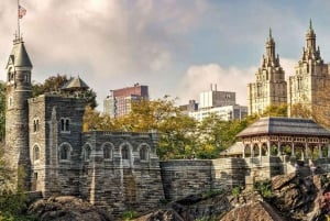 NYC : visite privée de Central Park