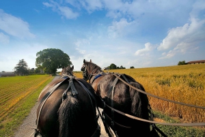 NYC: Philadelphia, Washington DC & Amish Country 2-Day Tour