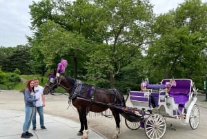 NYC: Magisk tur med julebelysning i vogn