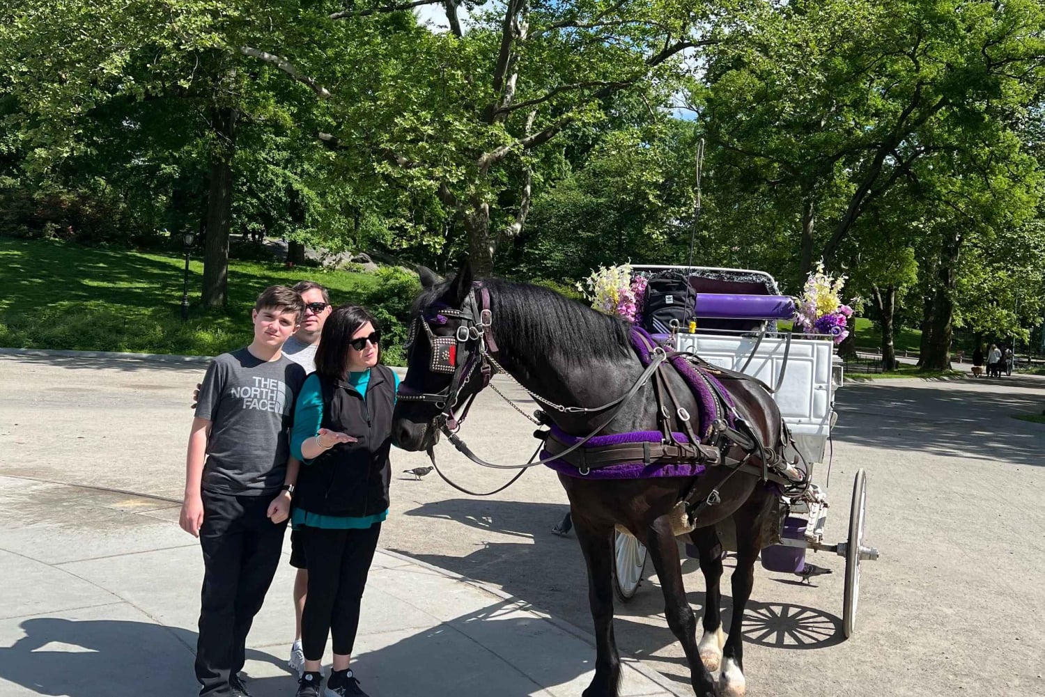 New York: tour privato di Central Park e della città