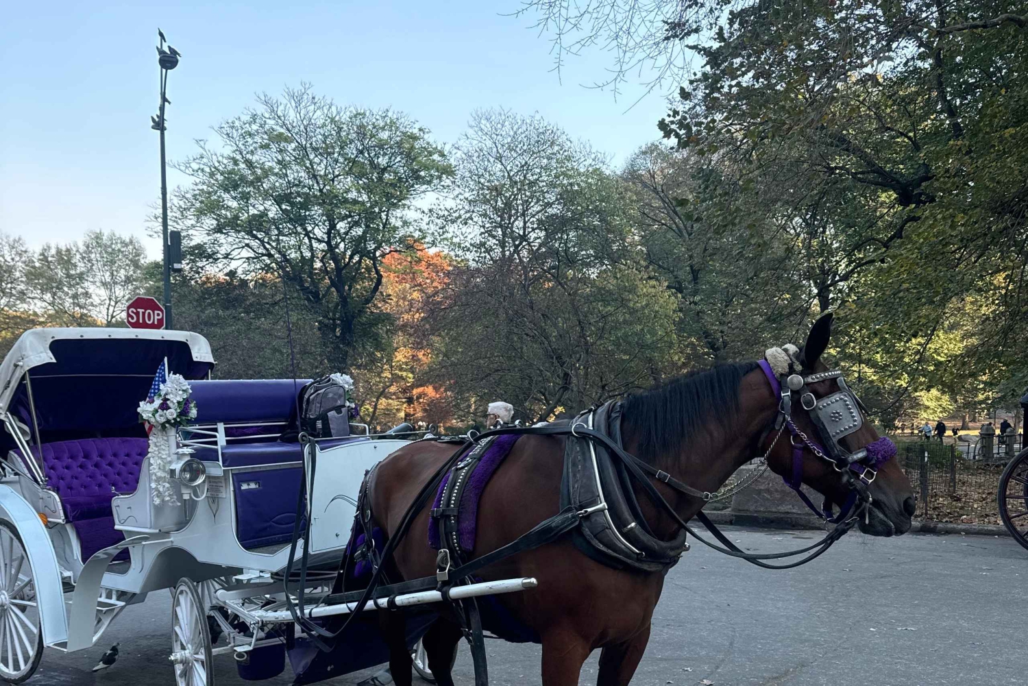 New York: tour privato di Central Park e della città