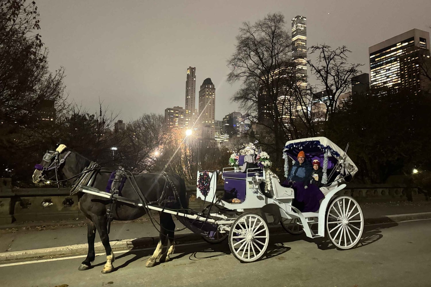 New York: tour privato di Central Park e della città