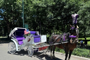 New York: tour privato di Central Park e della città
