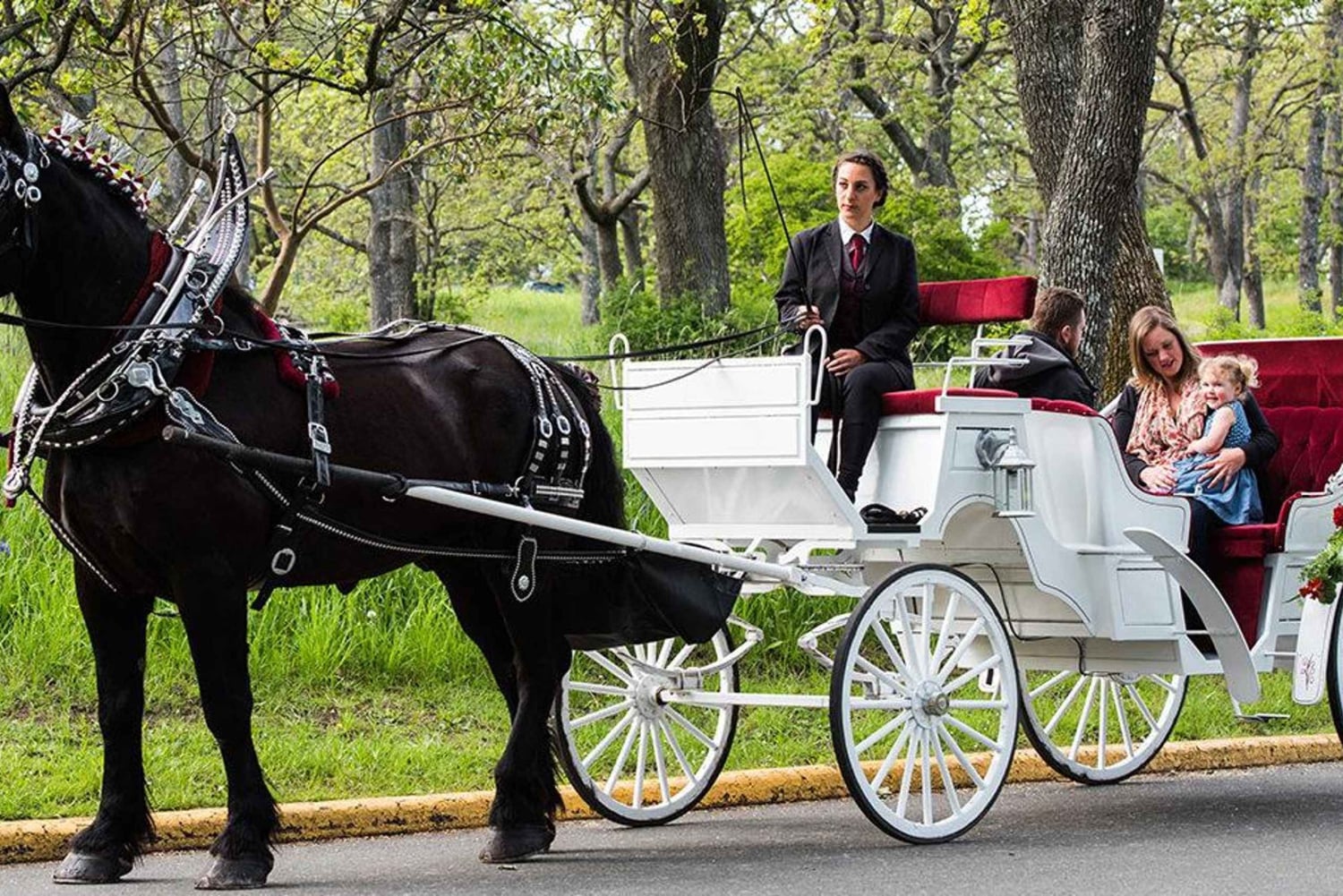 Tour privato di Central Park in carrozza con guida