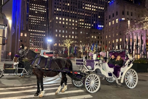 NYC: Passeio particular de carruagem a cavalo pelo Central Park com guia