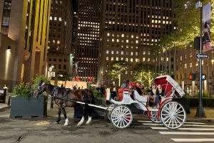 NYC: Prive paardenkoetsrit in Central Park met gids