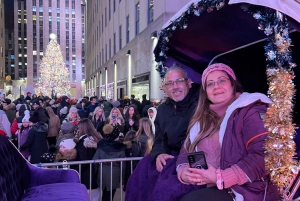 NYC: Passeggiata privata in carrozza a cavallo a Central Park con guida