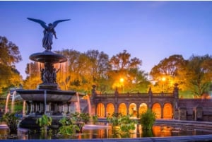 Passeio de carruagem puxada por cavalos no Central Park de Nova Iorque com guia