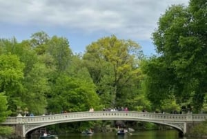 Passeio de carruagem puxada por cavalos no Central Park de Nova Iorque com guia