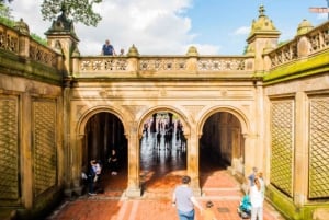 Passeio de carruagem puxada por cavalos no Central Park de Nova Iorque com guia