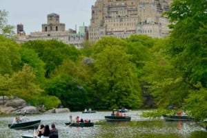 Passeio de carruagem puxada por cavalos no Central Park de Nova Iorque com guia