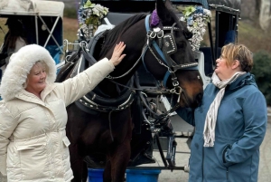 Tour privato di Central Park in carrozza con guida