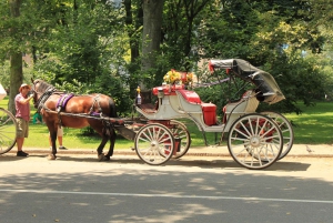 Tour privato di Central Park in carrozza con guida