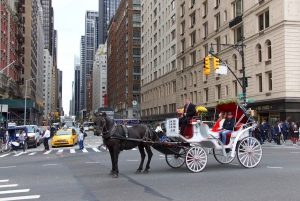 Tour privato di Central Park in carrozza con guida