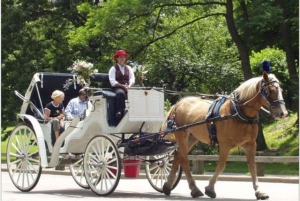 Tour privato di Central Park in carrozza con guida