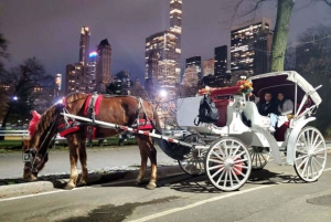 Tour privato di Central Park in carrozza con guida