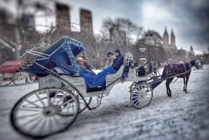 Tour privato di Central Park in carrozza con guida