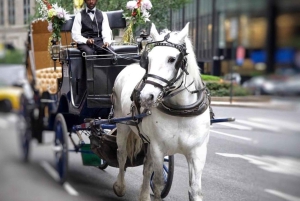 Tour privato di Central Park in carrozza con guida