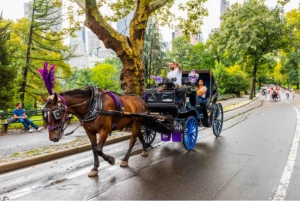 Tour privato di Central Park in carrozza con guida