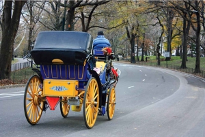 Tour privato di Central Park in carrozza con guida