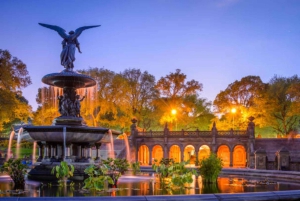 Tour privato di Central Park in carrozza con guida