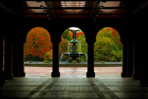 Tour privato di Central Park in carrozza con guida