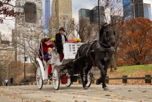 Tour privato di Central Park in carrozza con guida