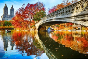 Tour privato di Central Park in carrozza con guida