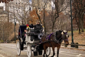 Tour privato di Central Park in carrozza con guida