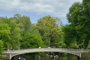 Tour privato di Central Park in carrozza con guida