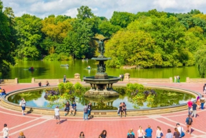 Tour privato di Central Park in carrozza con guida