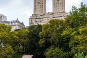 Tour privato di Central Park in carrozza con guida
