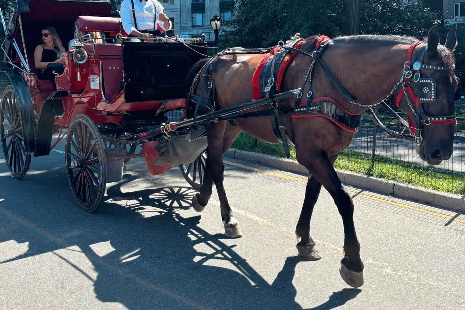 NYC: Yksityinen hevoskärryajelu Central Parkissa