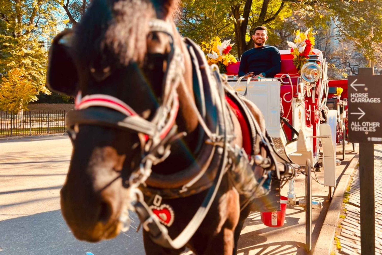 NYC: Yksityinen hevoskärryajelu Central Parkissa
