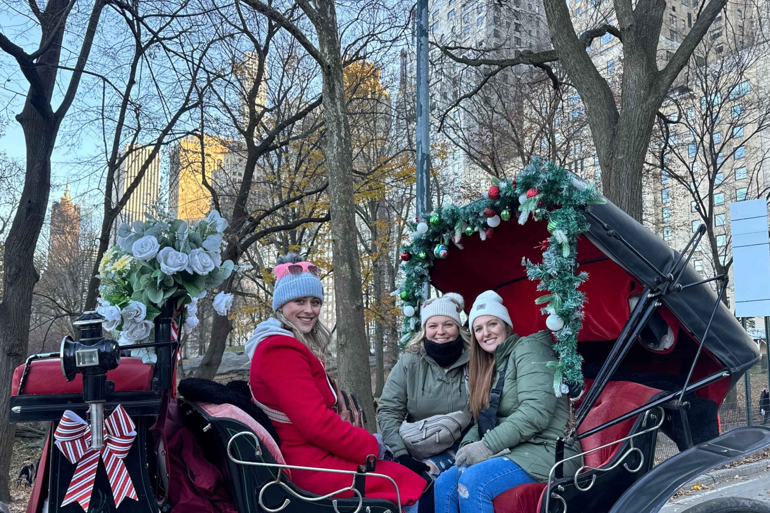 NYC: Yksityinen hevoskärryajelu Central Parkissa