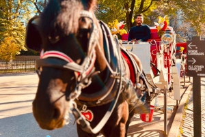 NYC: Yksityinen hevoskärryajelu Central Parkissa