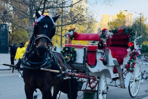 NYC: Yksityinen hevoskärryajelu Central Parkissa