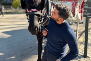 NYC: Yksityinen hevoskärryajelu Central Parkissa