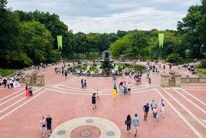 NYC: Privétour met fietstaxi door Central Park / OPHAALservice VANAF MUSEUM