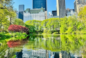 NYC: Privétour met fietstaxi door Central Park / OPHAALservice VANAF MUSEUM