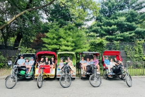 NYC: Privétour met fietstaxi door Central Park / OPHAALservice VANAF MUSEUM