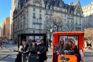 NYC: Privat tur i Central Park