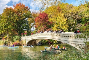 NYC: Privat tur i Central Park